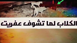 شافوا الرعب ، في الاخر ولو الادبار .