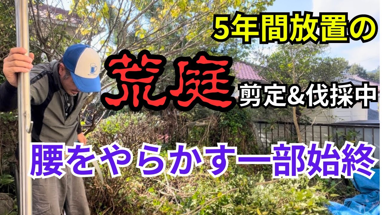 手付かずの荒れた庭】剪定&伐採の作業流れを一気見せ〜MK5(マジで腰 