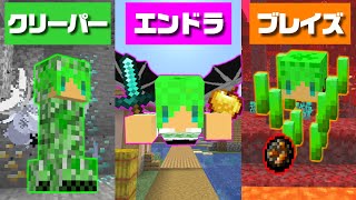 【マインクラフト】全てのモブの能力を使える世界なら『最強のドラゴン』余裕で倒せんじゃね？