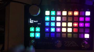 Empress ZOIA patch walk-through:  "Wolf -- a sequenced loop delay"