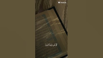 القرآن الكريم غذاء الروح 💗💗