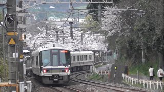 【桜】JR西日本 221系 NA413編成 大和路快速大阪環状線行 河内堅上〜三郷間 通過