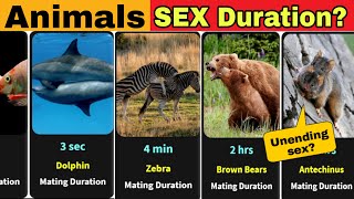 Comparisions : Animals Sex Time Duration | Longest Mating Animals