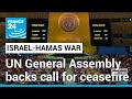 UN General Assembly votes in favour of ceasefire in Gaza • FRANCE 24 English