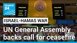 UN General Assembly votes in favour of ceasefire in Gaza • FRANCE 24 English