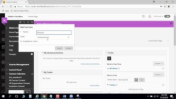 How to Add a Panopto Tool Link in Blackboard