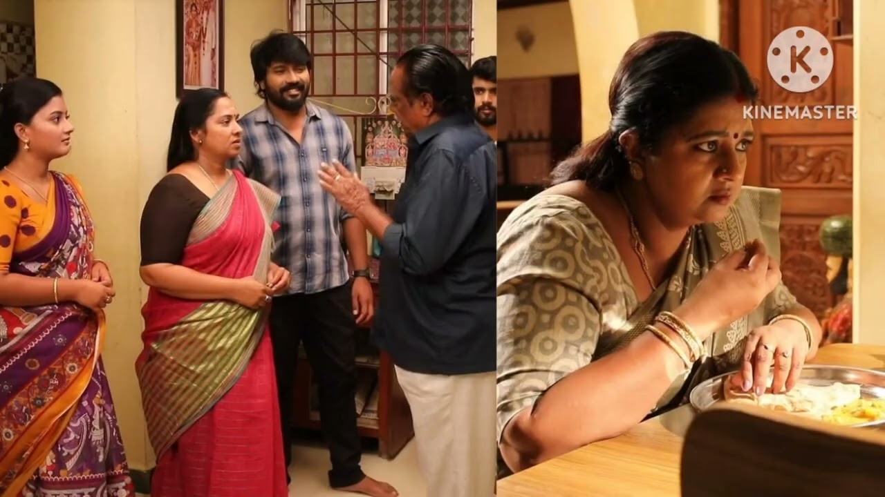 சிறகடிக்க ஆசை 7.3.2026. வெறும் வீடு விரத்தியில் விஜயா. மீனாவின் கனவு சீரியல் ரிவ்யூ..