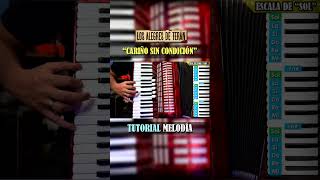 Cariño sin condición Tutorial Acordeon de teclas #losalegresdeteran #cariñosincondicion #tutorial