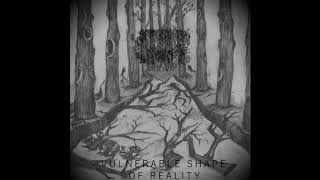 Reverse Evolution - Vulnerable Shape of Reality (Full EP)