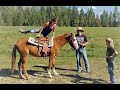 Good Simple Living's Horses! | The Horses have arrived!