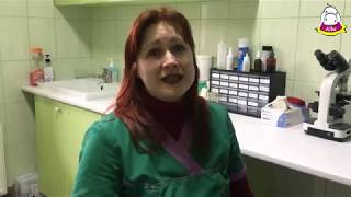 Боярка АЛЬБА ЗООВЕТЦЕНТР albazoo.com.ua 097-800-77-44 ветеринар Боярка АЛЬБА ЗООВЕТЦЕНТР albazoo.com.ua 097-800-77-44 ветеринар