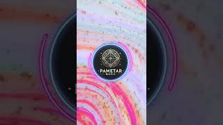 Glitch Pulse #shorts | @pametar_music #pametar_music #melodicphonk #electronicmusic