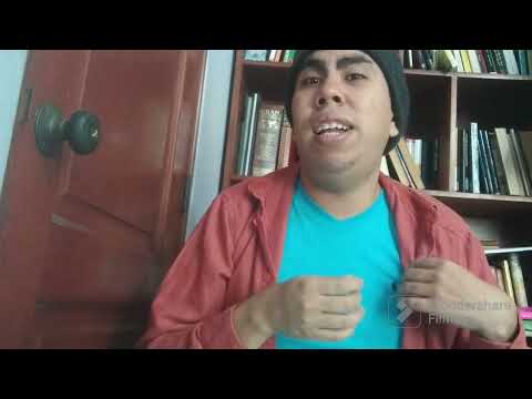 Torito (Resumen y análisis) Julio Cortázar