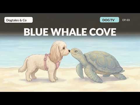 Dog TV for Dogs to Watch | The Blue Whale Cove
