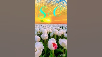 S love C status video #whatsapp_status #name_status_video #nameart #ravindra_ranjan #viral #reels