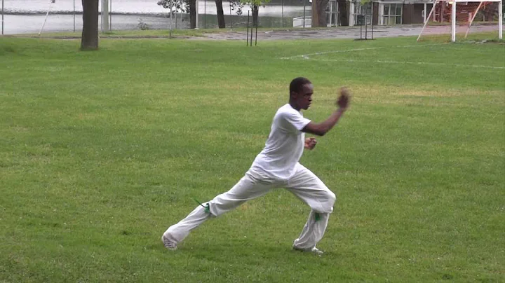 1er tao hung gar kung fu (First tao hung gar kung ...