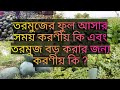 তরমুজ চাষ পদ্ধতি - তরমুজের ফুল আসার সময় করণীয় কি - তরমুজ বড় করার জন্য করণীয় কি ?