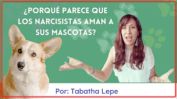 ¿Los narcisistas aman a los perros?