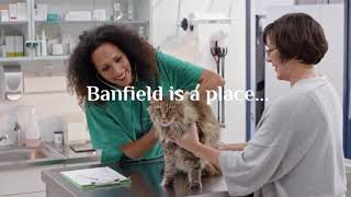 Banfield Animal Hospital Commercial