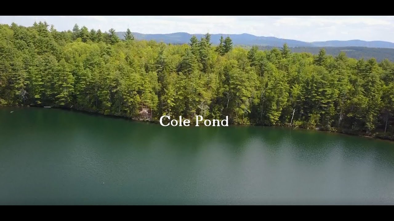 Cole Pond, Fly Fishing New Hampshire Remote Trout Ponds