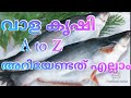 Assam vala farming malayalam malasiyan vaalaponnus fish farm puthuppally jojy ninan thomas