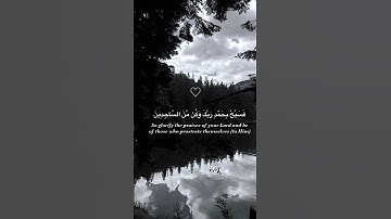حالات دينيه//تلاوة هادئة//القرآن الكريم//القارئ هزاع البلوشي