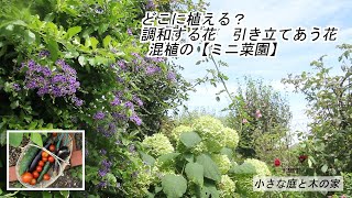 どこに植える？　調和する花　引き立てあう花　混植の【ミニ家庭菜園】