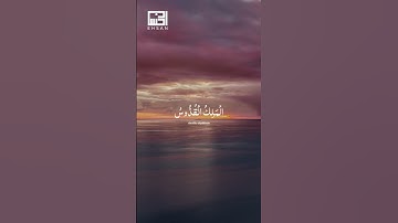 هوالله الذي لا اله الا هو الملك القدوس... سورة الحشر القارئ الشيخ بلال دربالي #اكسبلور