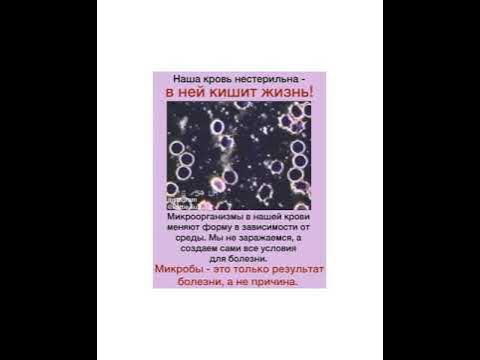 Кровь нестерильна или почему нельзя заразиться ни одной болезнью - YouTube