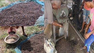Homemade palm kernel cracking machine in Nigeria #2