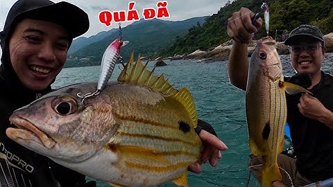 Lure biển mồi 7g dính nhiều cá lạ trên chiếc thuyền thúng huyền thoại