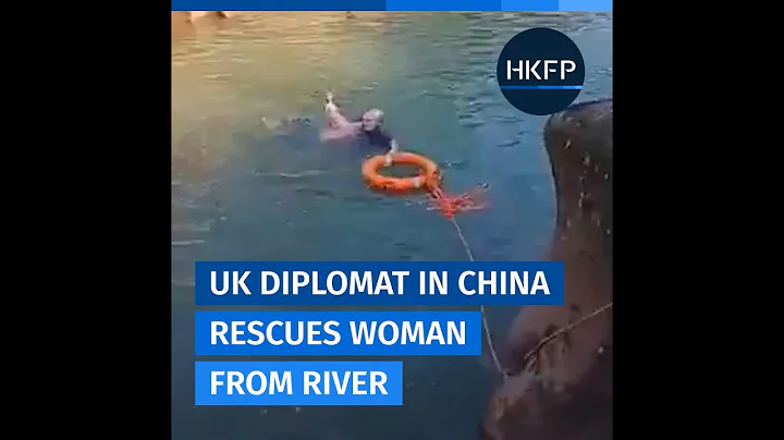 British diplomat Stephen Ellison rescues woman fro...