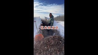 带你们看看东北农村猫冬生活，今天我家苞米瓤子发烧了。 #东北猫冬生活 #把家乡的味道分享给大家 #东北的冬天 #让我看看东北的冬天怎么事儿 #2024新农人计划