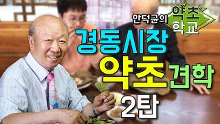 대한민국 본초학 1인자와 함께하는 경동시장 투어 먹방 편 [안덕균의 약초학교 EP.23]