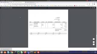 Customer/Supplier Statement