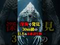 深海で発見された30m級の巨大な未確認生物3選 #都市伝説 #怖い話 #雑学 #shorts #uma #未確認生物