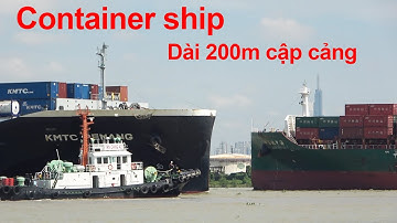 Container ship/ 2 con tàu container cắt mặt nhau trên sông Soài Rạp (khu Cát Lái)