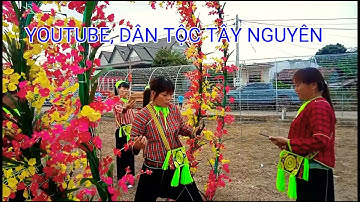 LỄ HỘI DÂN GIAN VIỆT BẮC,DÂN TỘC TÀY NÙNG, XÃ CƯ ÊWI H CƯ kiun Đăk Lăk tập 1 DÂN TỘC TÂY NGUYÊN