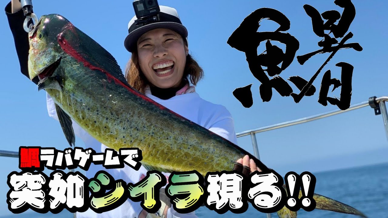 夏の釣り 巻けない連発 巨大魚シイラと白熱バトル まさかの Youtube 夏の釣り 巻けない連発 巨大魚シイラと白熱バトル まさかの Youtube