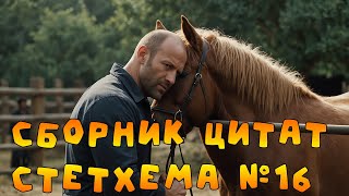 Сборник цитат Стетхема №16  #стэтхэм #стетхем #приколы