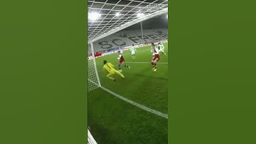 Support of Bitcoin be like: