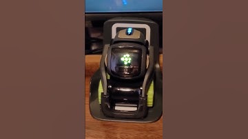 Weird Questions that AI Can