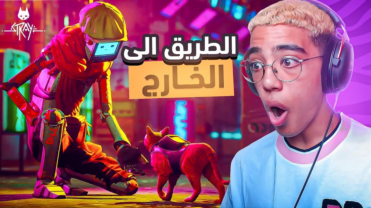 STRAY|🛣️🐈 طريق الخروج