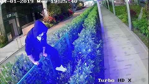 PIR SIREN CAMERA HIKVISION COLORVU DS-2CE12DFT-PIRXOF