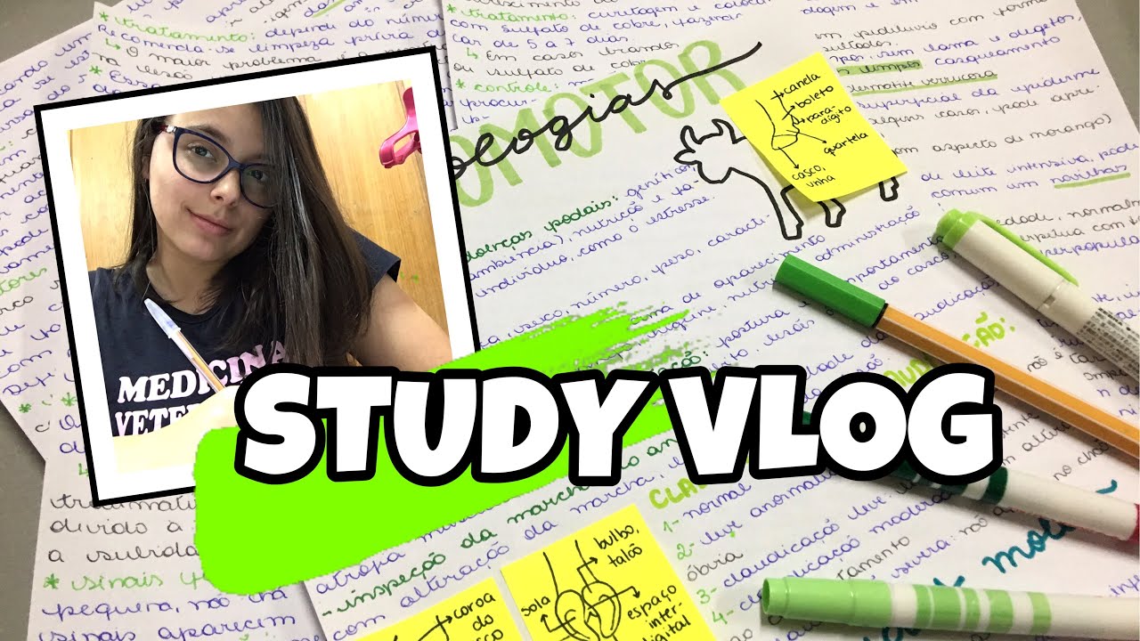 STUDY VLOG NA BIBLIOTECA - Clínica de Grandes | Veterinanda