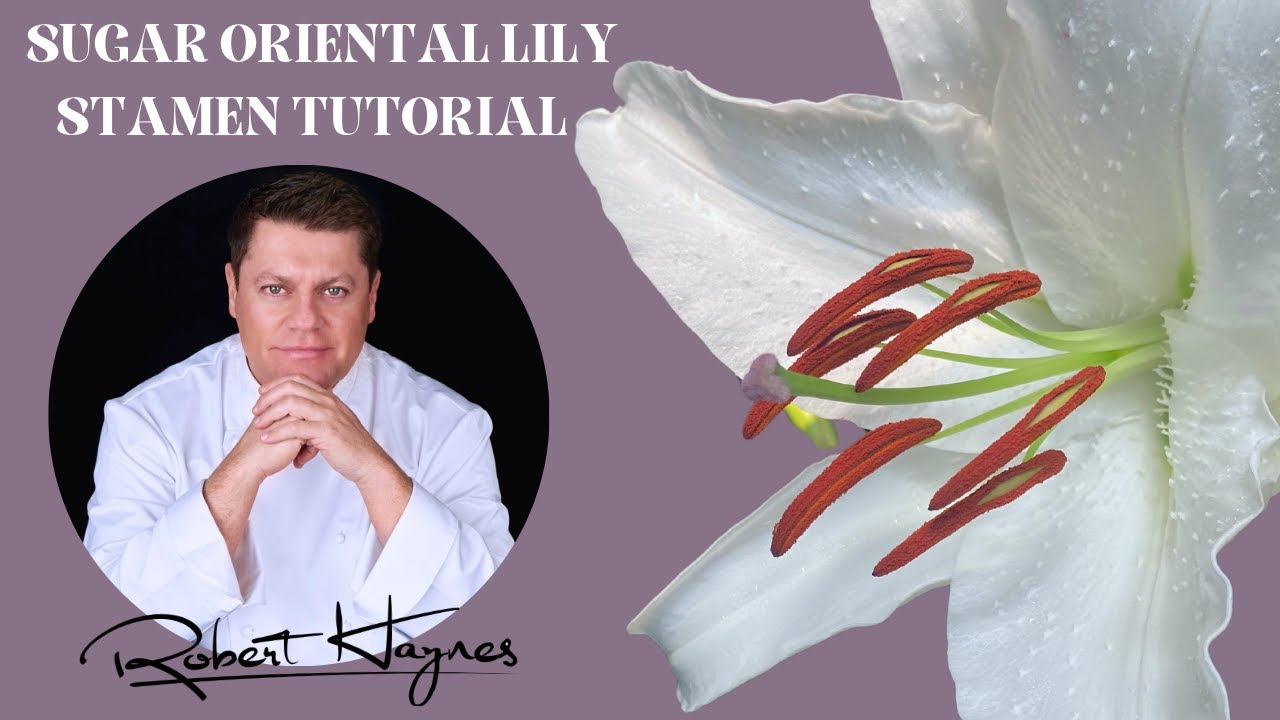 How To Make Botanically Correct Oriental Casa Blanca Lily Stamens In Sugar (Flower Gum Paste)
