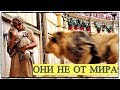 Они не от мира