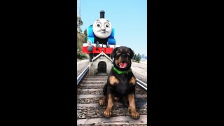 Chop Meets Thomas The Train Engine #shorts