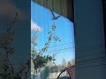 Выставка загородных домов Open Village 2023-2024 в локации к.п.Грин Лаундж, Истра
