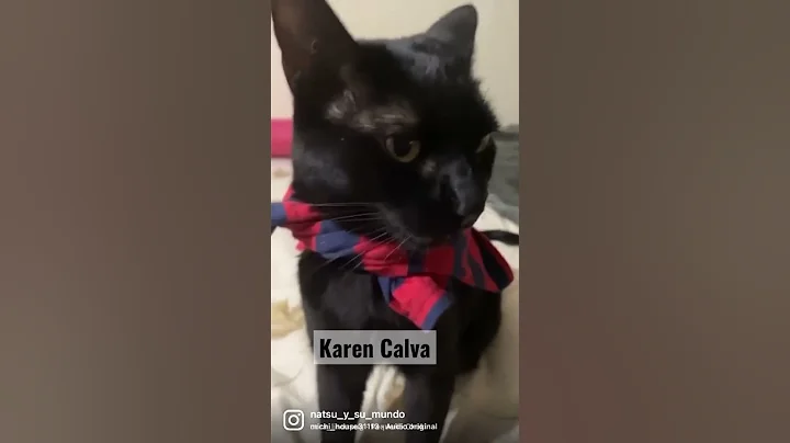 Karen Calva #catlover #cat #karen #blackcat #catbl...